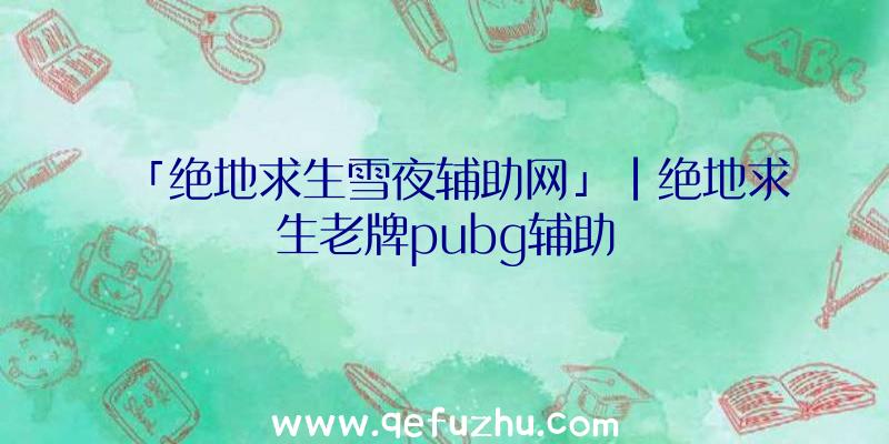 「绝地求生雪夜辅助网」|绝地求生老牌pubg辅助